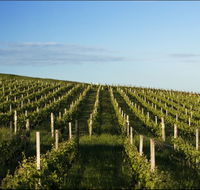 Delamere Vineyard - Accommodation QLD