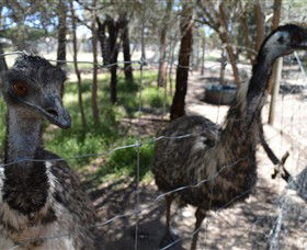 Narana Aboriginal Cultural Centre - Accommodation QLD 4