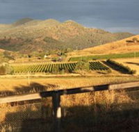 Optimiste Wines - Accommodation QLD