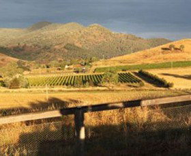 Optimiste Wines - Accommodation QLD 0