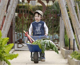 Royal Botanic Gardens Victoria - Accommodation QLD 0