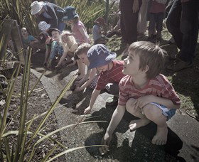 Royal Botanic Gardens Victoria - Accommodation QLD 5