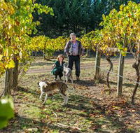 Little River Wines of Taggerty - Accommodation QLD