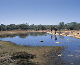 Rothsay ACT Accommodation QLD