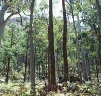 Cathedral Range State Park - Accommodation QLD