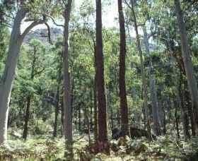 Cathedral Range State Park - Accommodation QLD 0