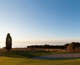 Jack Rabbit Vineyard - Accommodation QLD 3