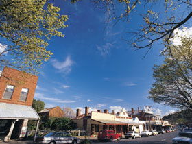 Drysdale Cheeses - Accommodation QLD 1