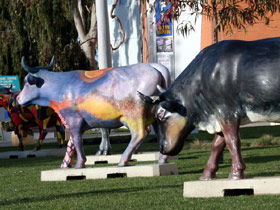 Drysdale Cheeses - Accommodation QLD 6