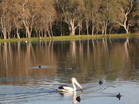 Drysdale Cheeses - Accommodation QLD 7