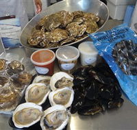 Advance Mussel Supply - Accommodation QLD