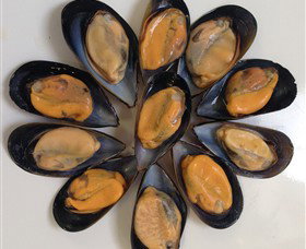 Advance Mussel Supply - Accommodation QLD 3