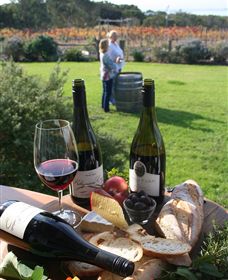 Kiltynane Wines - Accommodation QLD 1