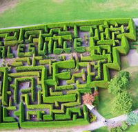 Hedgend Maze and Healesville Laser Sport - Accommodation QLD