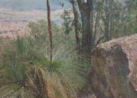 Arbuckle VIC Accommodation QLD