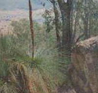 Mount Lawson State Park - Accommodation QLD