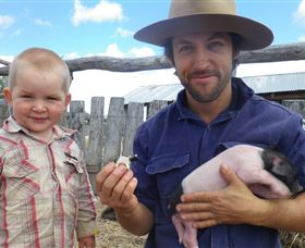 Gleneden Organic Farm And The Gleneden Bullock Team - Accommodation QLD 2