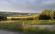 Gleneden Organic Farm And The Gleneden Bullock Team - thumb 0