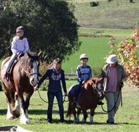 Bathurst Farm Experience - Accommodation QLD