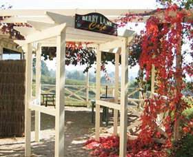 Blue Hills Berries & Cherries - Accommodation QLD 1