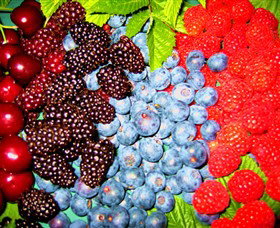 Blue Hills Berries & Cherries - Accommodation QLD 2