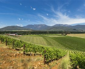 Feathertop Winery - Accommodation QLD 3
