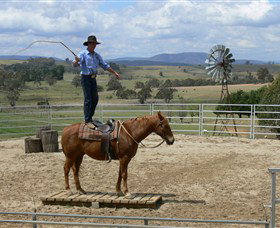 Boggy Creek Shows - Accommodation QLD 0