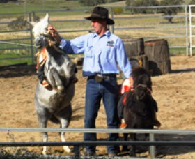 Boggy Creek Shows - Accommodation QLD 2