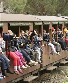 Puffing Billy Steam Railway - Accommodation QLD 1
