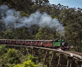 Puffing Billy Steam Railway - Accommodation QLD 0