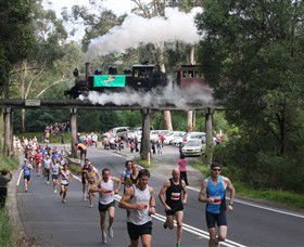 Puffing Billy Steam Railway - Accommodation QLD 7