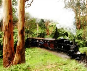 Puffing Billy Steam Railway - Accommodation QLD 5