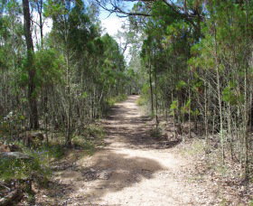 Goonoowigall State Conservation Area - Accommodation QLD 1