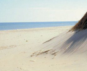 Lilley's Beach - Accommodation QLD 2