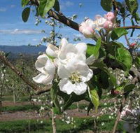 Mouat's Farm - Accommodation QLD