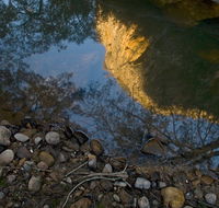 Abercrombie Karst Conservation Reserve - Accommodation QLD