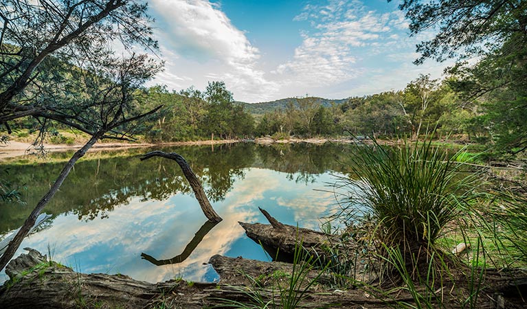 Warrabah NSW Accommodation QLD
