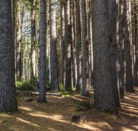 Sugarpine Walk - Accommodation QLD