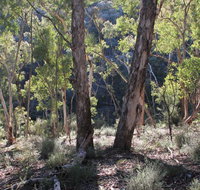Mount Gray walking track - Accommodation QLD