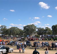 Quirindi Rural Heritage Village - Accommodation QLD