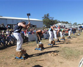 Quirindi Rural Heritage Village - Accommodation QLD 1