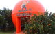 Gayndahs Big Orange - thumb 0