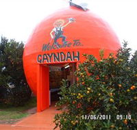 Gayndahs Big Orange - Accommodation QLD