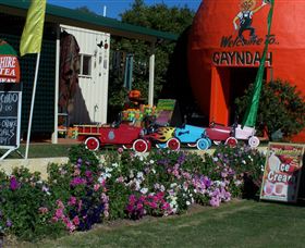 Gayndahs Big Orange - Accommodation QLD 1