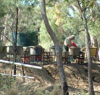 7 Oaks Sapphire Fossicking - Accommodation QLD