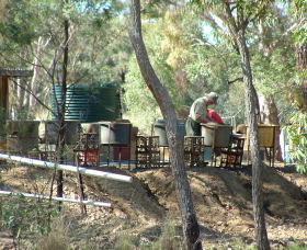 7 Oaks Sapphire Fossicking - Accommodation QLD 0