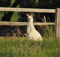 Panorama Garden Estate - Accommodation QLD