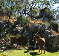 Coomba Falls - Accommodation QLD