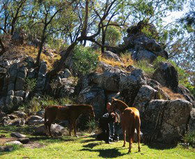 Coomba Falls - Accommodation QLD 0