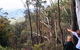 Hume And Hovell Walking Track - thumb 5